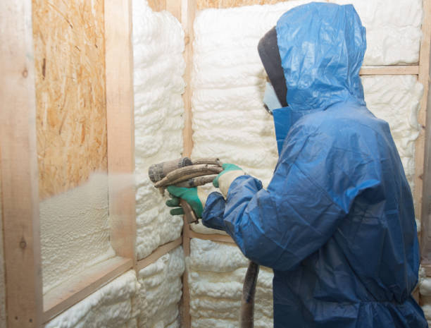 Best Crawl Space Insulation  in New Hyde Park, NY